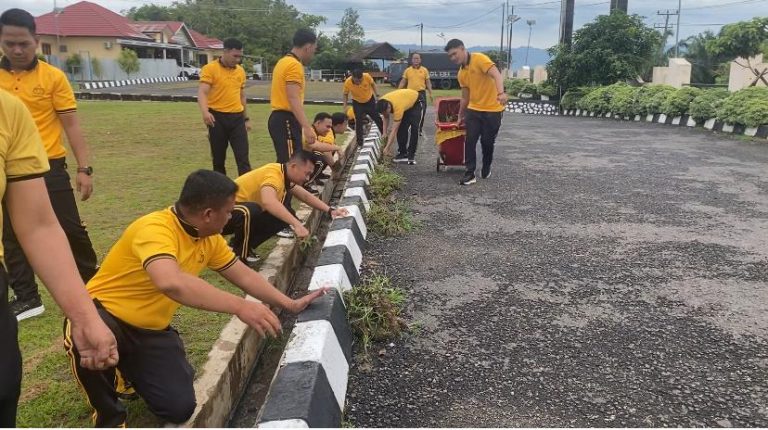 IMG-20260206-WA0311(1)